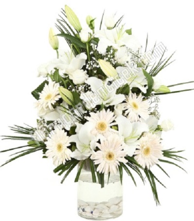 Cam içerisinde Beyazların Güzelliği