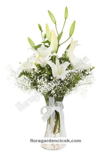Lilyumlar Cam Vazoda