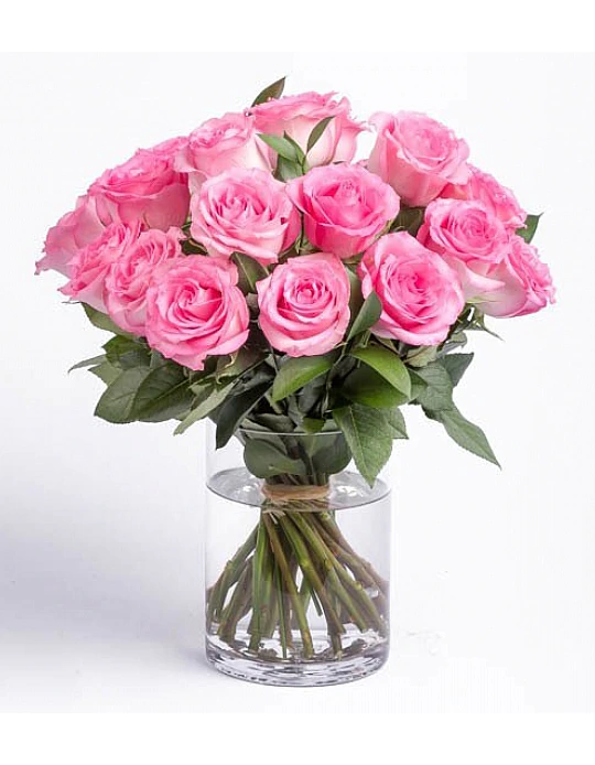 19 Adet Pembe Gül FG496